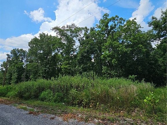4th image of 16 Leola Ln #16
