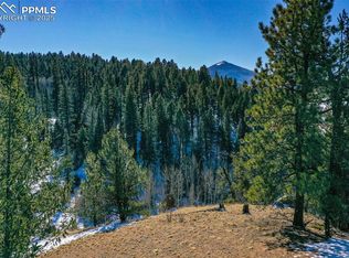 456 Idlewild Dr, Cripple Creek, CO 80813