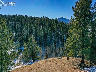 456 Idlewild Dr, Cripple Creek, CO, 80813