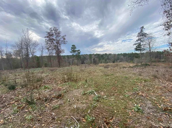 County Road 2215 Lot 8, Jacksonville, TX 75766