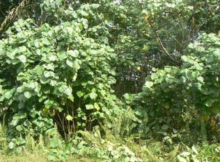 LOT 99 Lot 99, Pahoa, HI 96778
