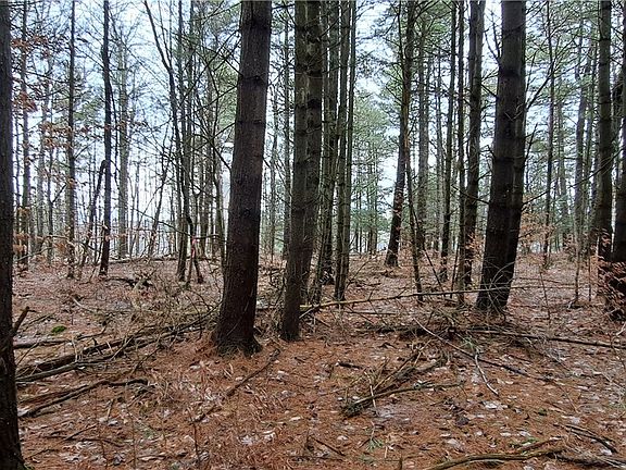 2nd image of Sweet Point Rd Lot 60