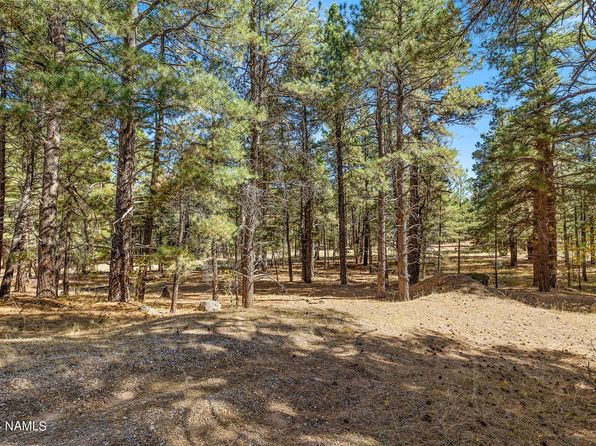 155 E Ski Run Rd, Williams, AZ 86046