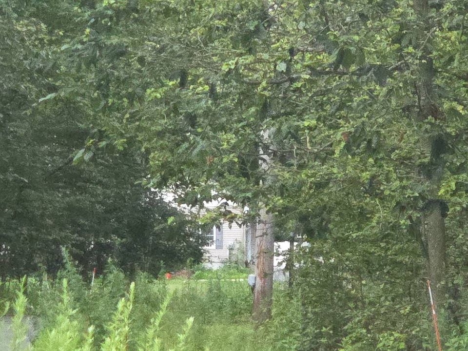 1st image of 167 Mine Rd