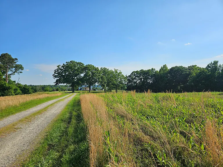 22864 Prince Edward Hwy — Photo 3