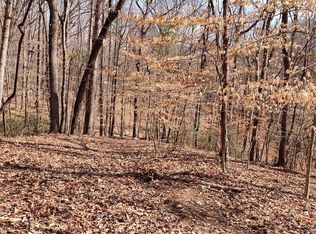 0 Davis St, Marion, NC 28752