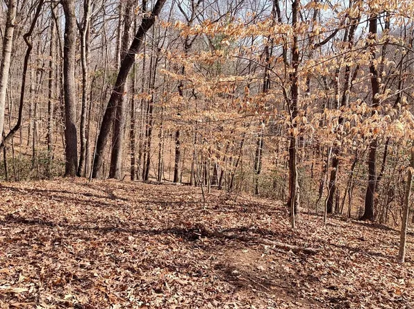 0 Davis St, Marion, NC 28752