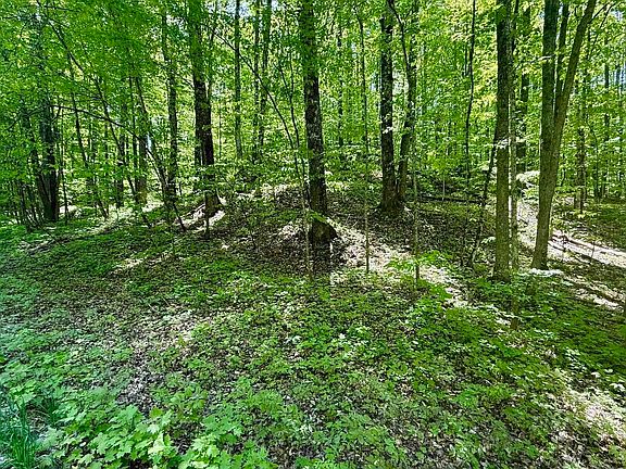 3rd image of LOT 130 Maromir Ct