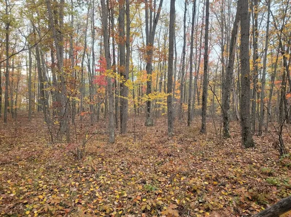 V/l 5acres W North Down River Rd, Grayling, MI 49738
