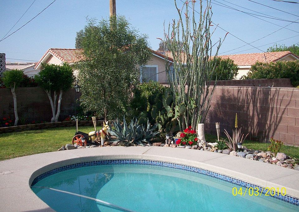 Back yard