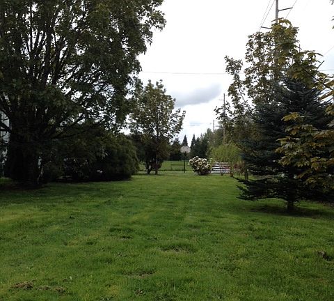 Front yard looking south