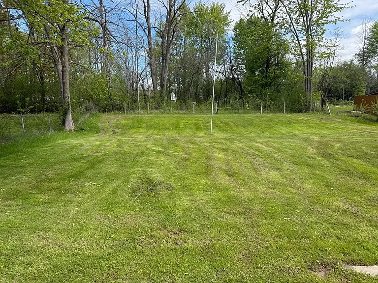 31 Wycliffe Rd — Photo 10