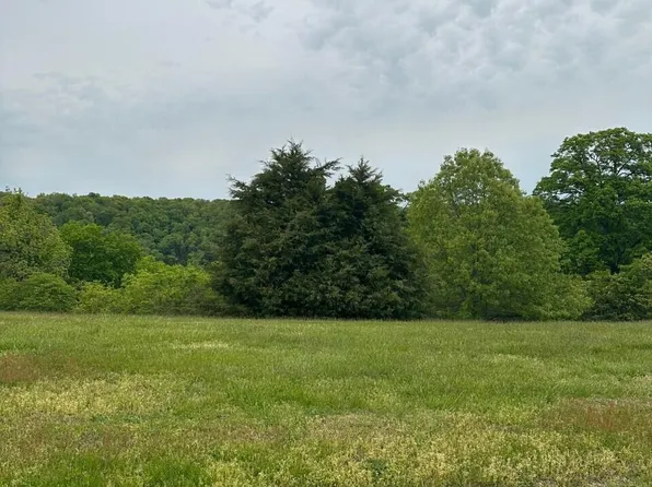 Lot 17 Newbury Road, Reeds Spring, MO 65737