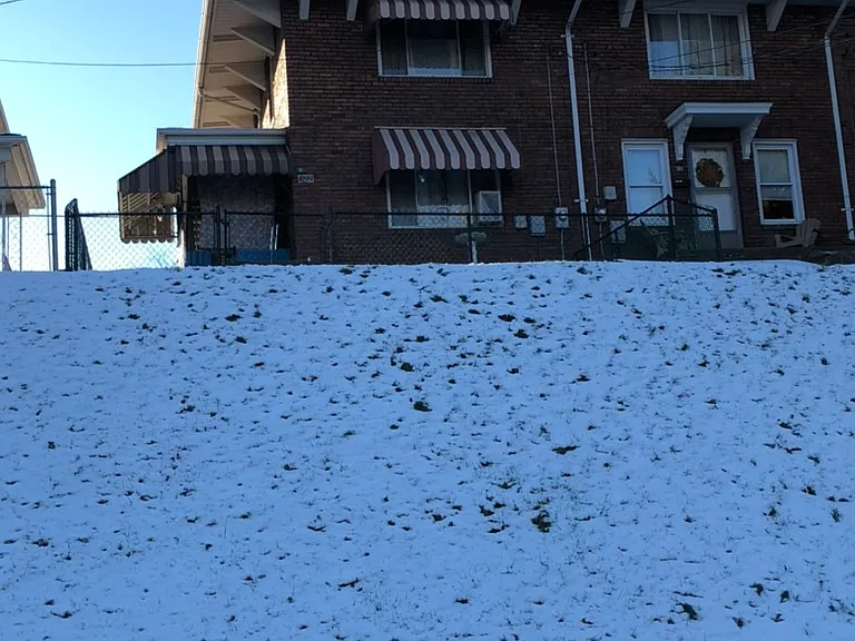 Back yard outside of fence slopes down a hill