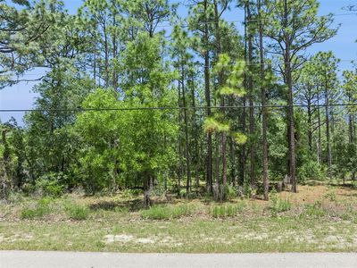 1797 W UNION STREET LOT 22, Hernando, FL, 34442