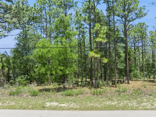 1797 W Union St Lot 22, Hernando, FL 34442