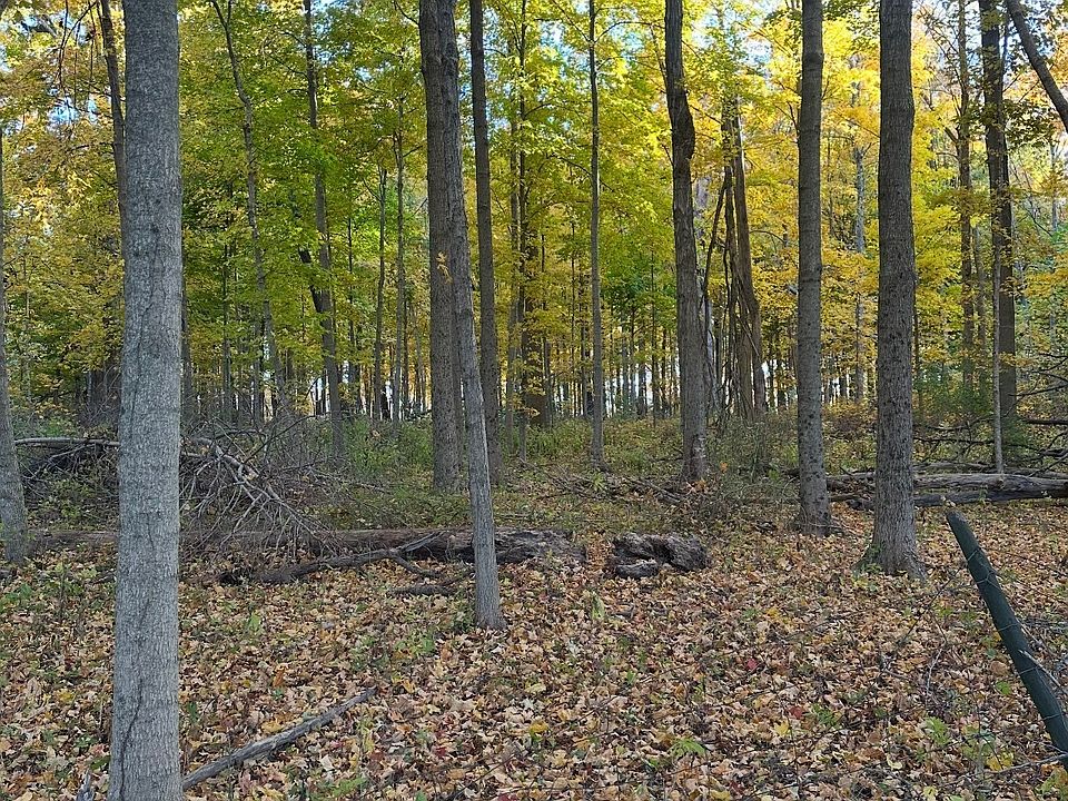 2nd image of 0 Cyntheanne Rd