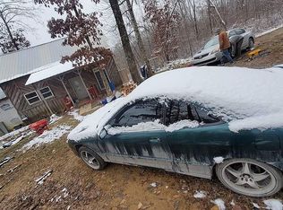 1037 Chestnut Ridge Rd, Spring City, TN 37381