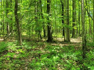 Hagerman Rd Lot 15, Waverly, NY 14892