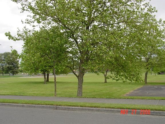 View of Park Across Street