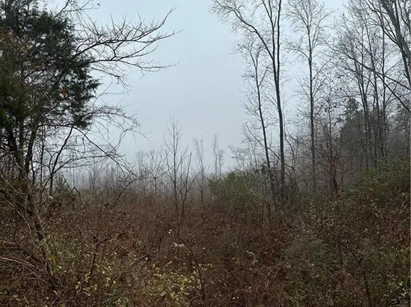 0 Pineville Rd, Mocksville, NC 27028