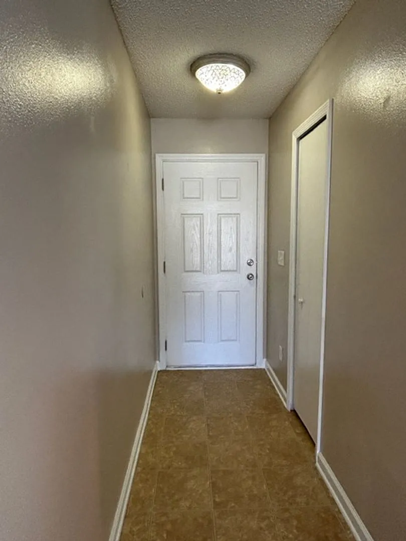 Samara Lakes near World Golf Village- Great 3-Bedroom 2-Bath Fenced Home — Photo 4