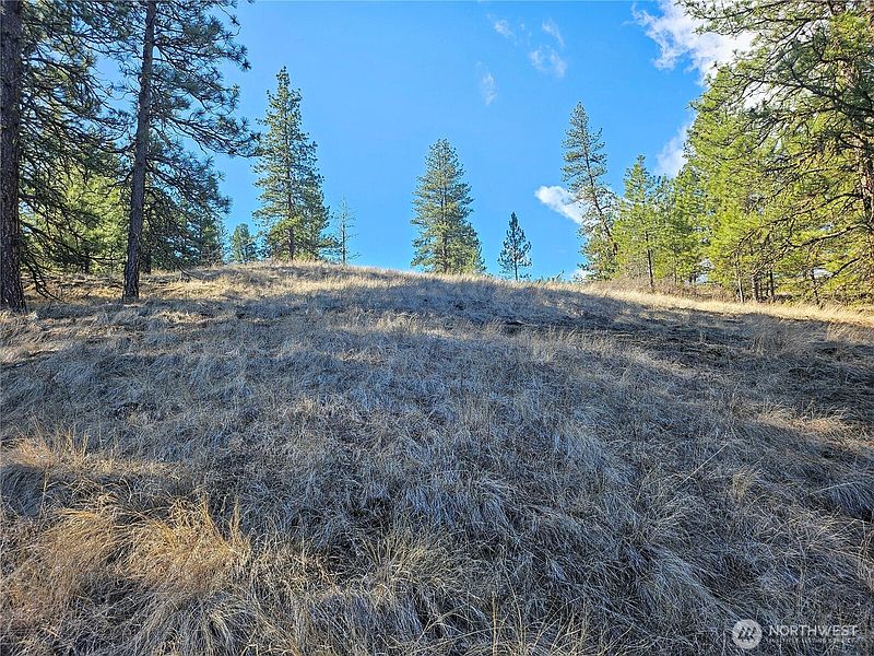 4th image of 380 Lot Chopaka TBD Road