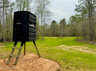 1 Permenter Rd, Camden, MS 39045