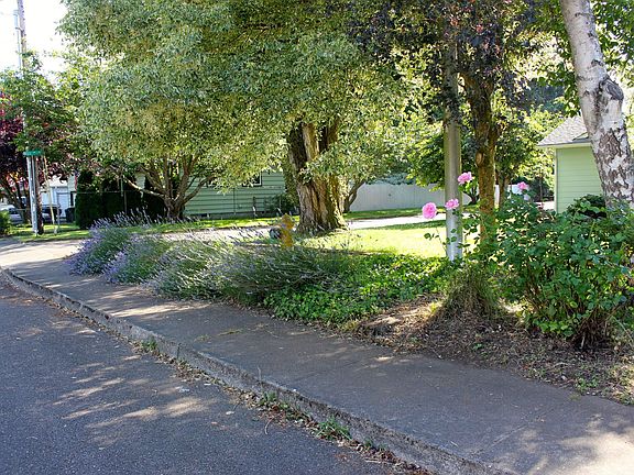 Beautiful front yard
