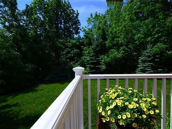 Enjoy the PRIVACY of your natural landscaping and green borders