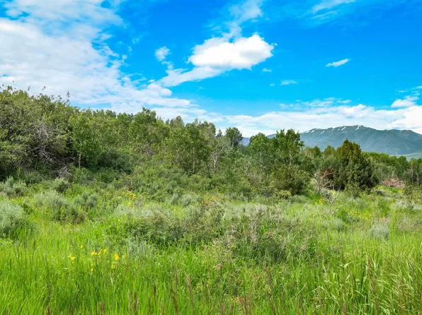 Green Canyon Rd, Inkom, ID 83245