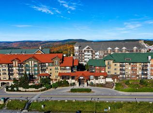 406 Rimfire, Snowshoe, WV 26209
