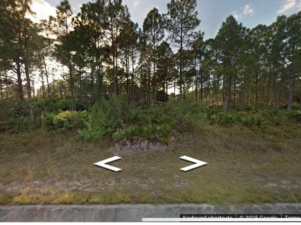 1307 Louis AVE, LEHIGH ACRES, FL 33972