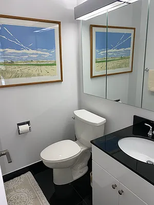 Rented by Douglas Elliman | media 25