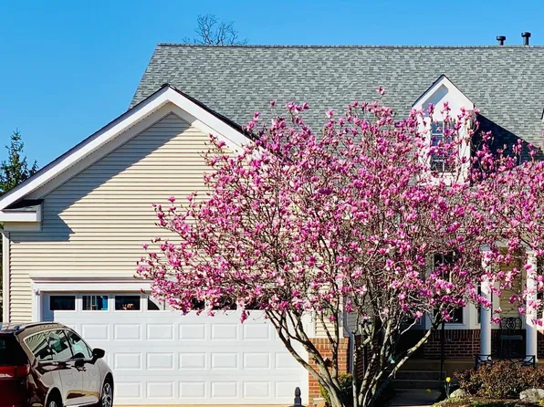 13743 Currant Loop, Gainesville, VA 20155