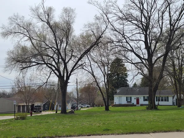 LOT 1 Watson Ave, Oglesby, IL 61348