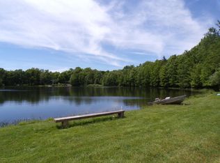 Dozy Rd, Pleasant Mount, PA 18453