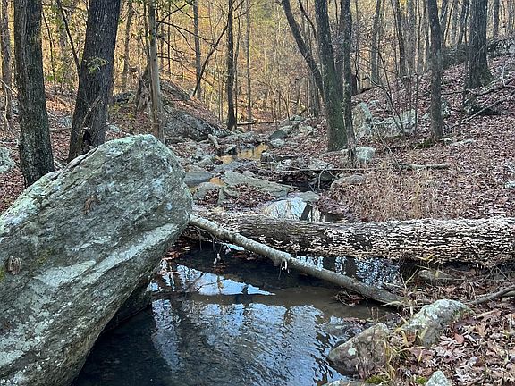 3rd image of 9919 Old 81 Loop