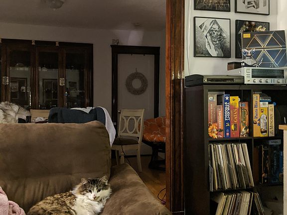 Living room into dining room (featuring Figaro)