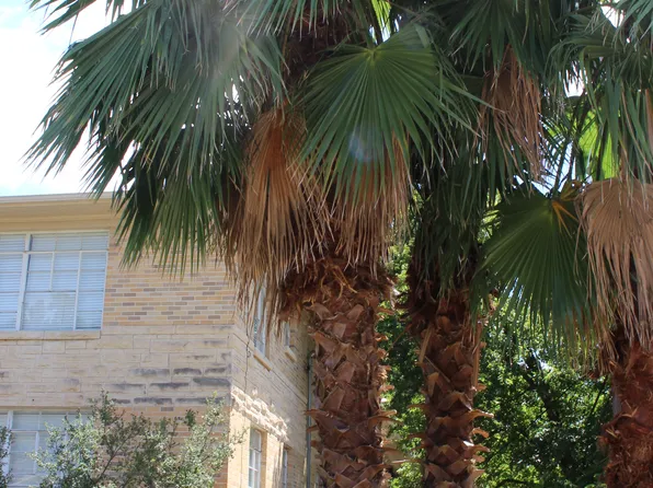 301 E 34th St APT 105, Austin, TX 78705