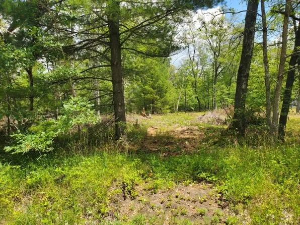 0 S Celestial Dr, Idlewild, MI 49642