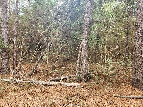 4th image of LOT 10 Honeylocust Ln