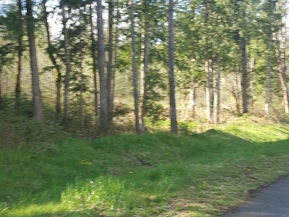 3rd image of 39127 307th Ave Se
