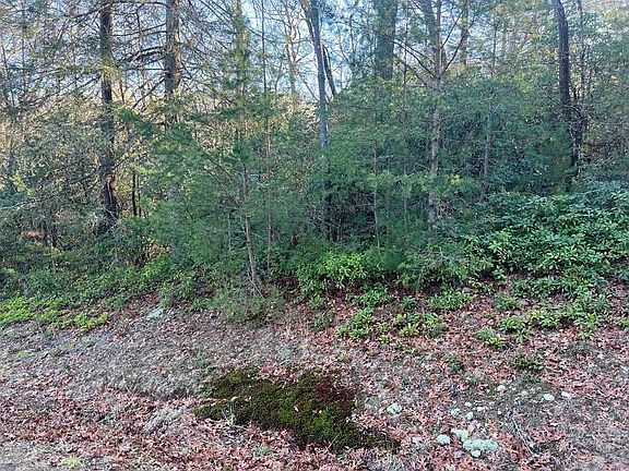 4th image of LOT 14 Frances Dr