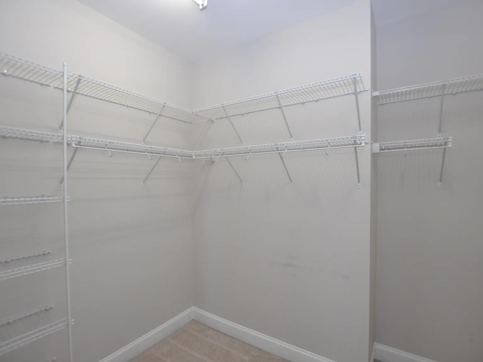 5 bed, 3100 sqft, $3,050 — Photo 3