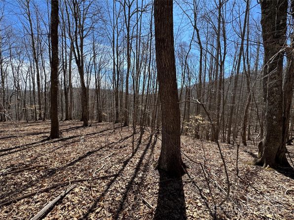 Doublehead Mountain Rd, Newland, NC 28657