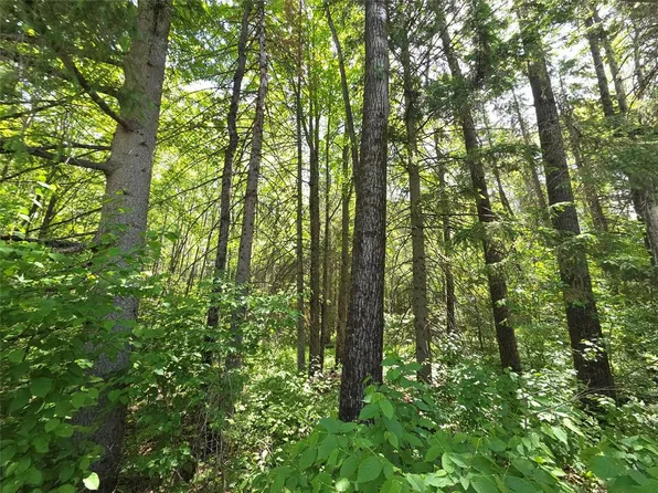 Lot 6 E Solberg Lake Road, Phillips, WI 54555
