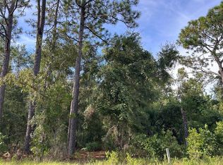 NE 11th Pl LOT 23, Williston, FL 32696