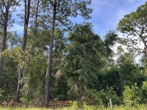 NE 11th Pl Lot 23, Williston, FL 32696