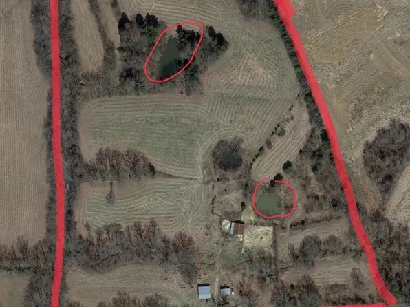 447 Christmasville Rd, Trenton, TN 38382